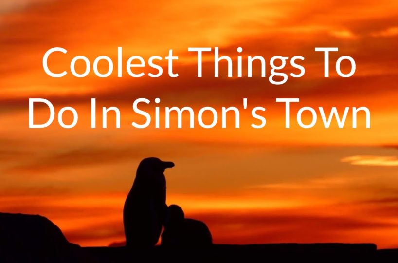 Cool things to do in Simons Town visit the penguins, go to beaches