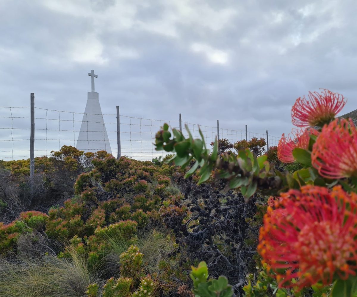 https://agency.capeholidays.info/listings/holiday-villa-in-constantia/